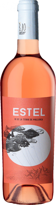 3.10 Estel vi