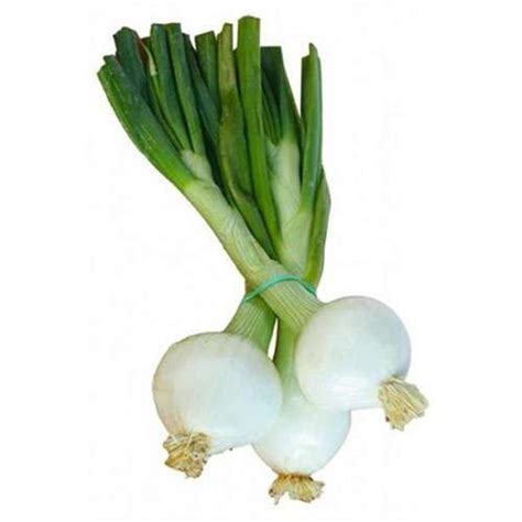 Ceba tendra manat ECO